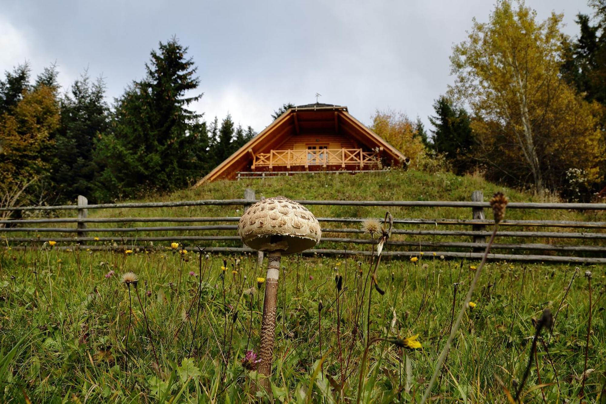 Charming Chalet Rogla Hudinja Esterno foto