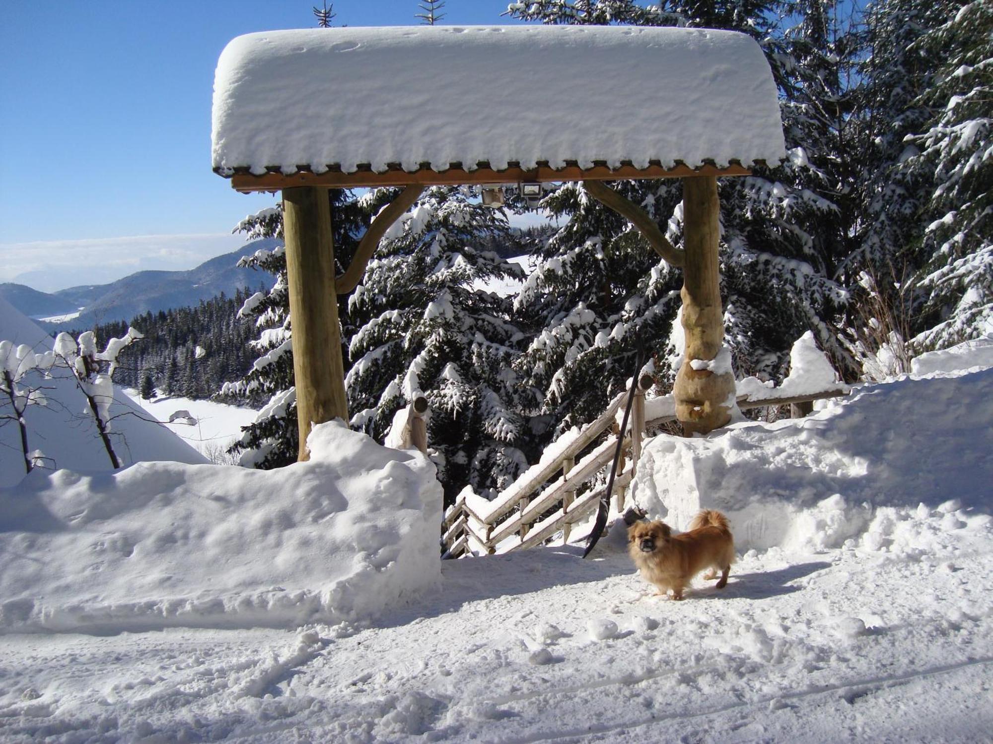 Charming Chalet Rogla Hudinja Esterno foto